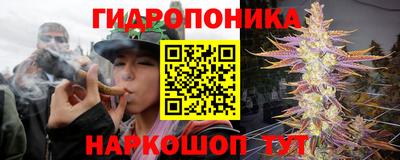 прущие крисы Лесосибирск
