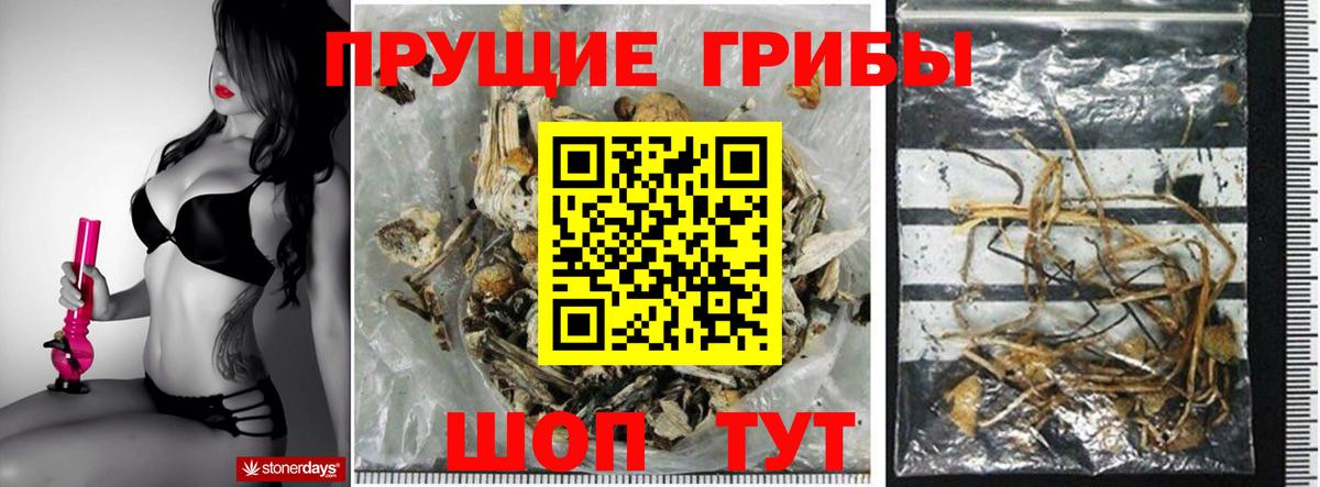 Галлюциногенные грибы Psilocybine cubensis  Галлюциногенные грибы MAGIC MUSHROOMS  Вход с VPN  магазин  наркотиков  Дивногорск 